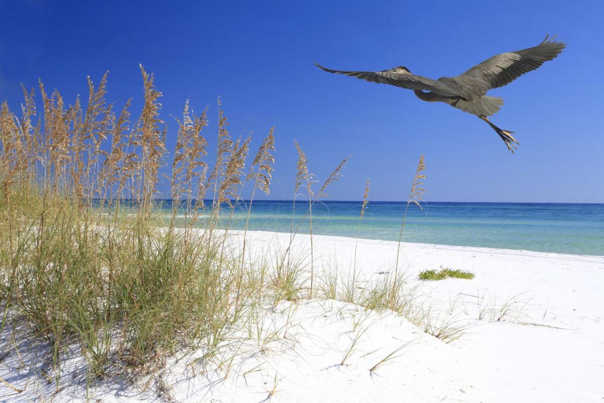 Cozy Canaveral Beach Condo! Next To Nasa Launch Site Κέιπ Κανάβεραλ Εξωτερικό φωτογραφία